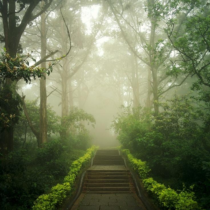 Low-impact nature route